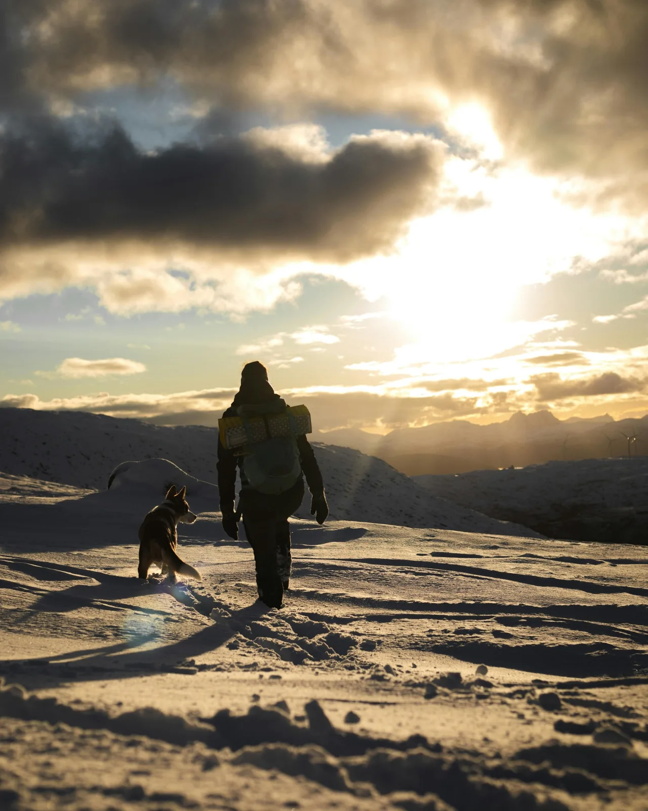 Vandrare i skog med extra lager och kamera
